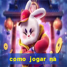 como jogar na lotinha do jogo do bicho